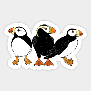 Puffins Sticker